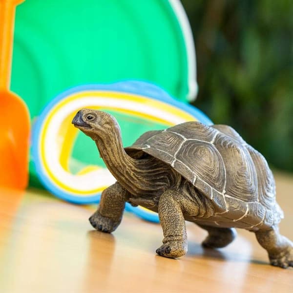 TURTLE - Tortoise - Safari Ltd. - 260729