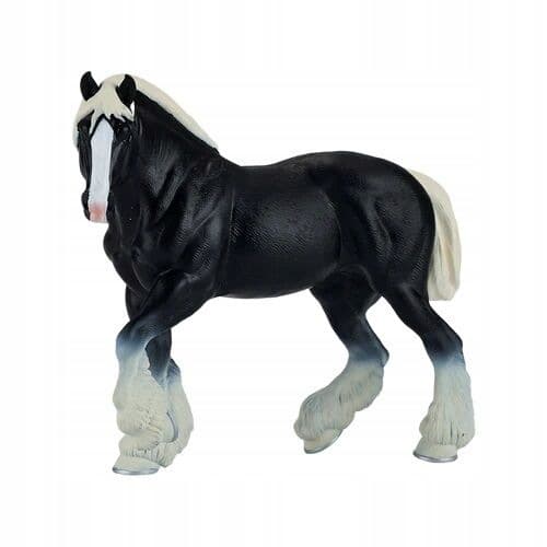 Mojo, a black Clydesdale horse