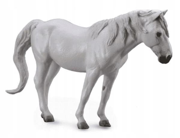 A GREY CAMERGUE HORSE, COLLECTA