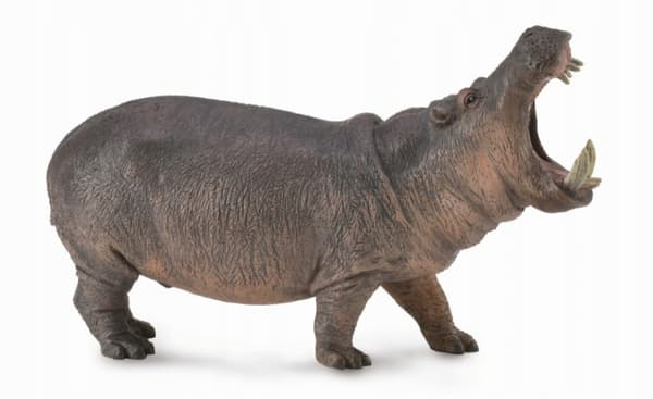 Collecta hippopotamus figurine