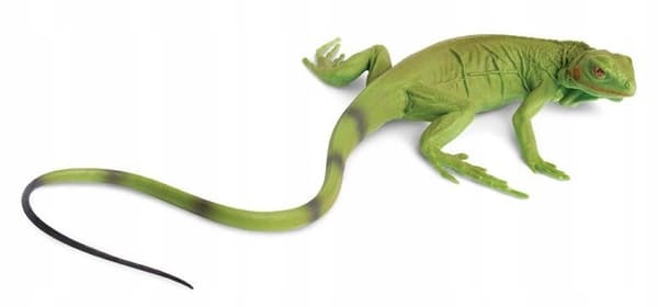 SAFARI LTD YOUNG IGUANA FIGURINE 258329