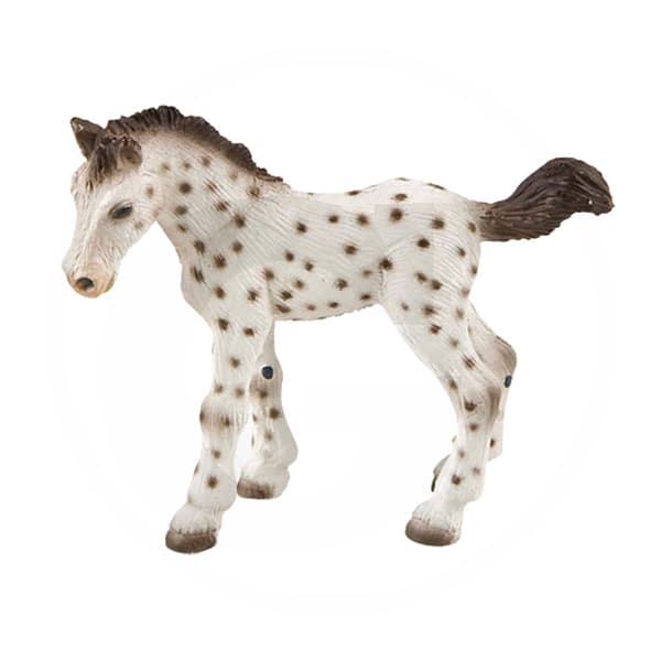 A Knabstrupper foal named Bullyland