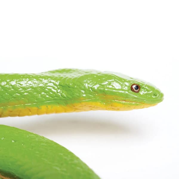 GRASS SNAKE - Rough Green Snake - Safari Ltd. - 257729