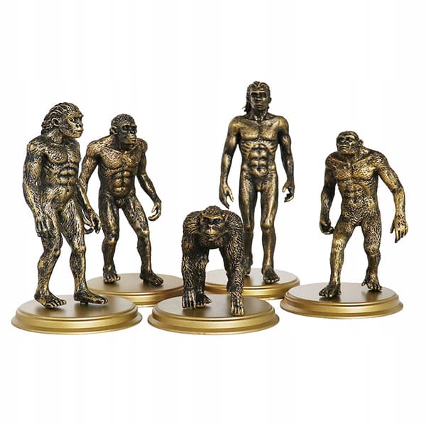 5-PIECE CREATIVE TOY: HUMAN MODEL – EVOLUTION