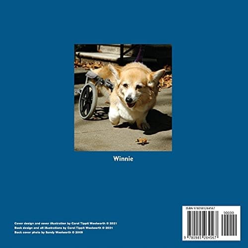 Flanerie Will Get You Nowhere: The Winnie Chronicles: Book Three: 3