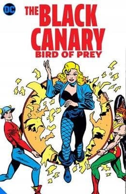 The Black Canary: Bird of Prey group work