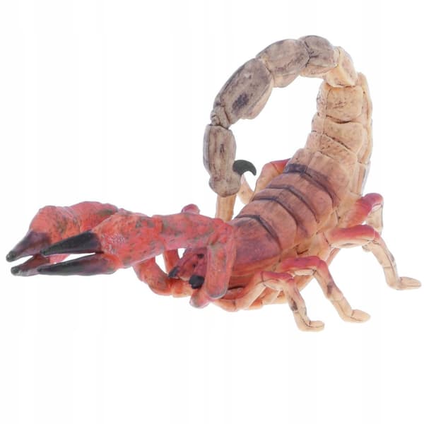 Simulation: Children’s Halloween Toy Gift Party Model