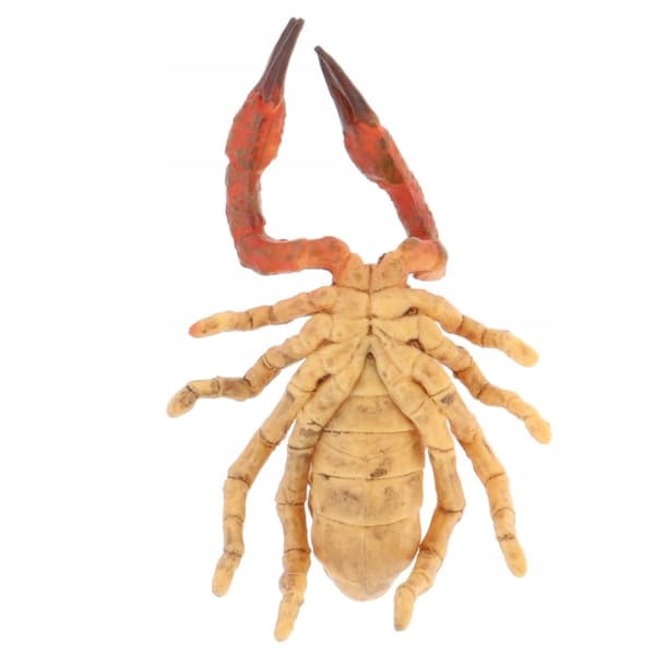 Simulation: Children’s Halloween Toy Gift Party Model