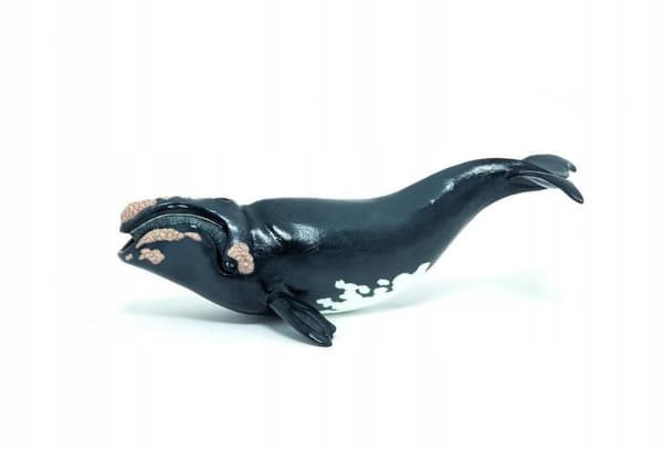 YOUNG WHALE FIGURINE - PAPO - 56057