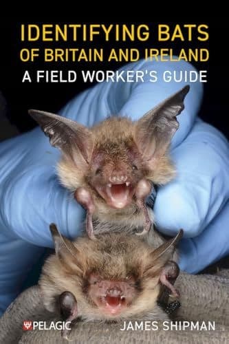 IDENTIFYING BATS OF BRITAIN AND IRELAND: A FIELD WORKER'S GUIDE (BOOK)