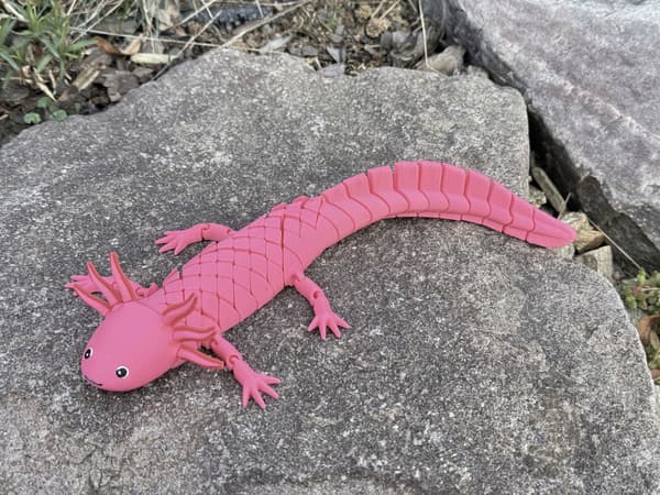 Aksolotl XL Segmented 3D – A fabulous, flexible, posable figurine and toy