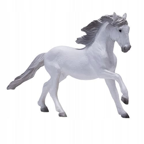 Mojo, a white Lusitano horse