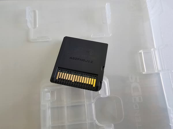 LUX-PAIN NINTENDO DS
