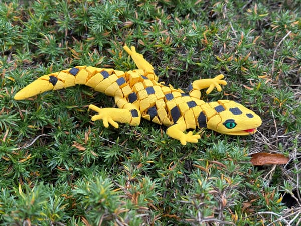 3D Segmented Gecko – an agile, flexible, moving toy and terrarium decoration
