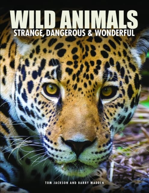 Wild Animals by TOM JACKSON