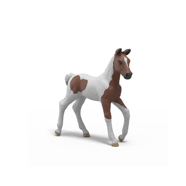 HORSE CLUB ADVENT CALENDAR