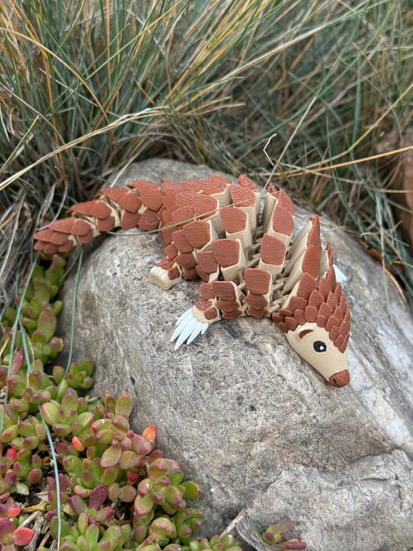 3D Pangolin – A Modular Figurine in a New, Multicoloured Design, toy