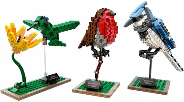 LEGO Ideas – 21301 Birds – New