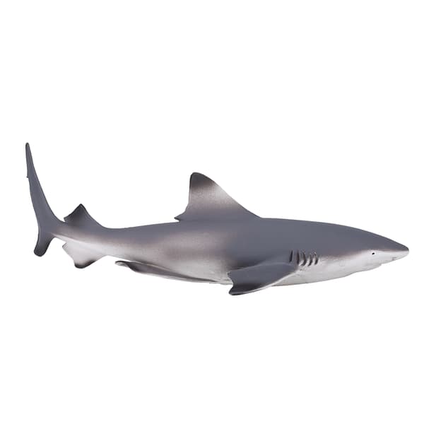 Mojo Blackfin Shark