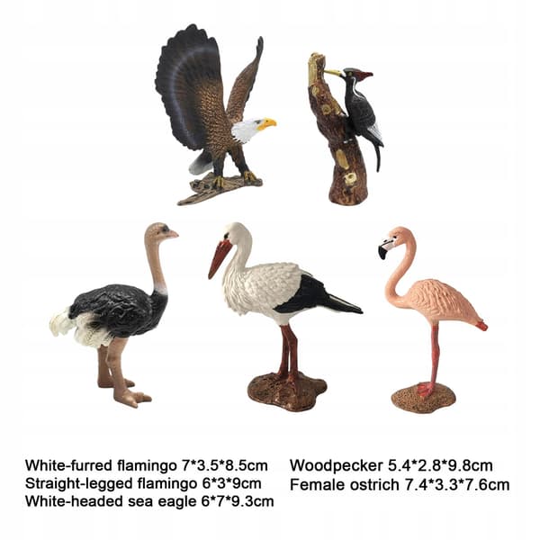 5x Hand-Painted Lifelike Bird Simulation Educational Toy Model Style C
