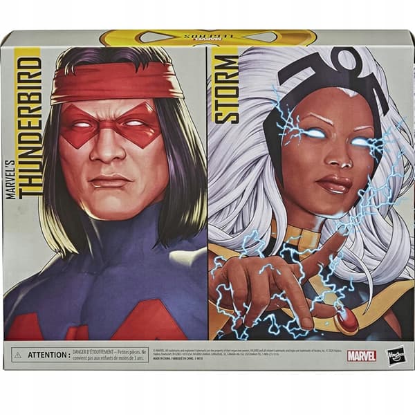 MARVEL LEGENDS 2-PACK: STORM + MARVEL'S THUNDERBIRD