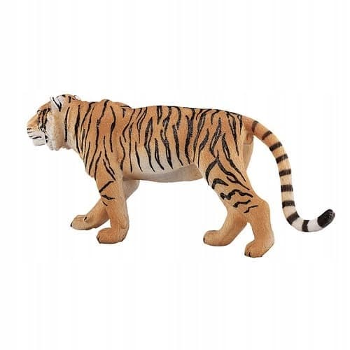 Mojo the Bengal Tiger