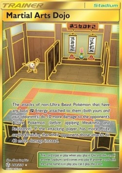 Pokemon Martial Arts Dojo