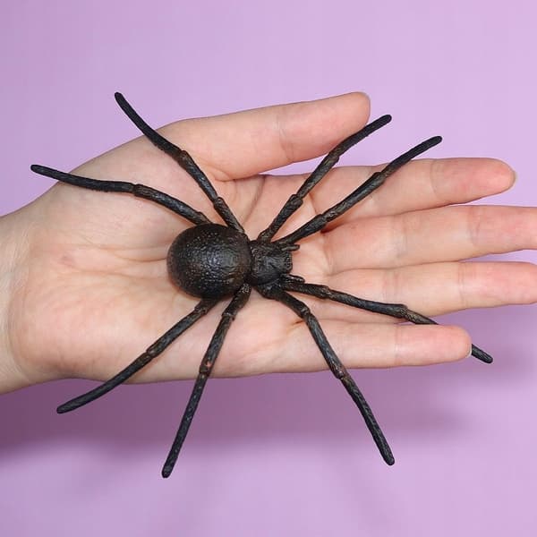 BLACK WIDOW SPIDER - CollectA - 88884 - L