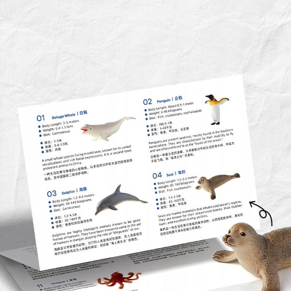 Mideer Sea Creatures Collector's Set – 11 pieces