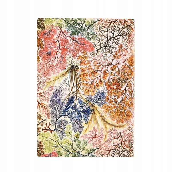 Paperblanks Anemone Midi Lined Notebook