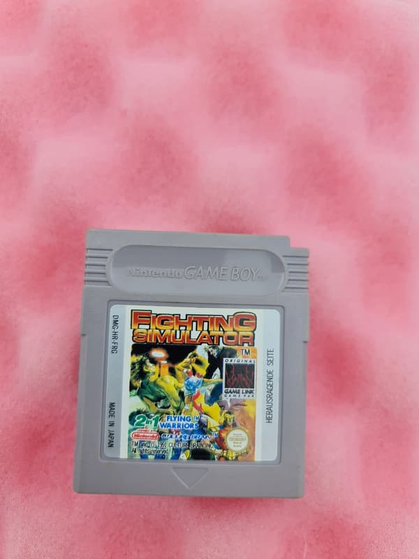 GAME BOY FIGHTING SIMULATOR