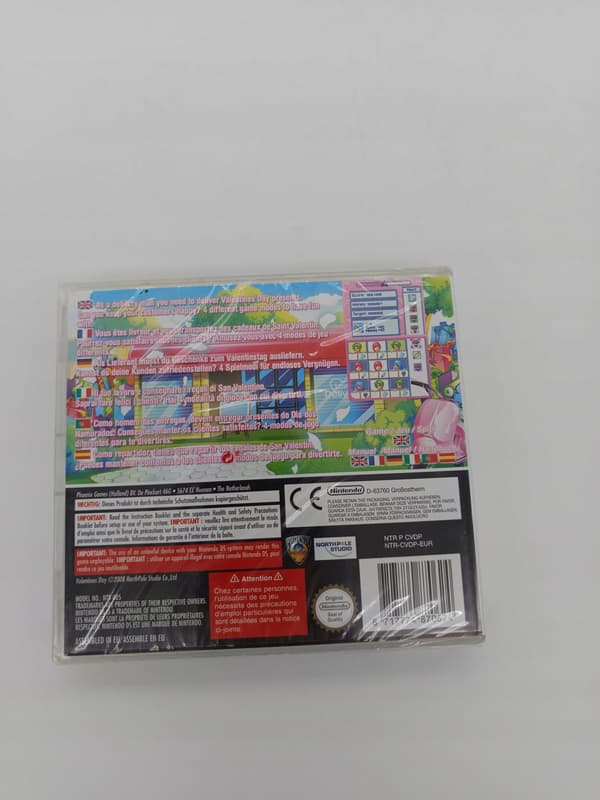 VALENTINE'S DAY NINTENDO DS