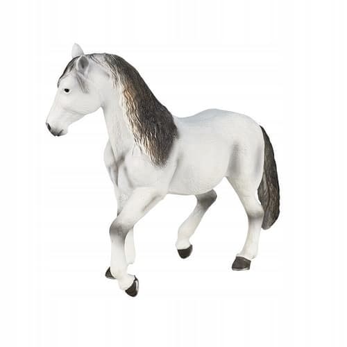 Mojo, a grey Andalusian horse
