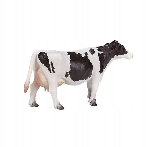 Mojo, the Holstein cow