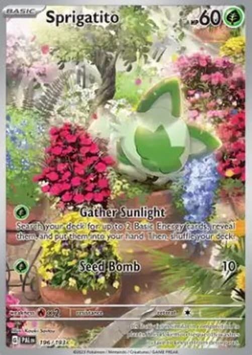 Pokemon TCG Sprigatito