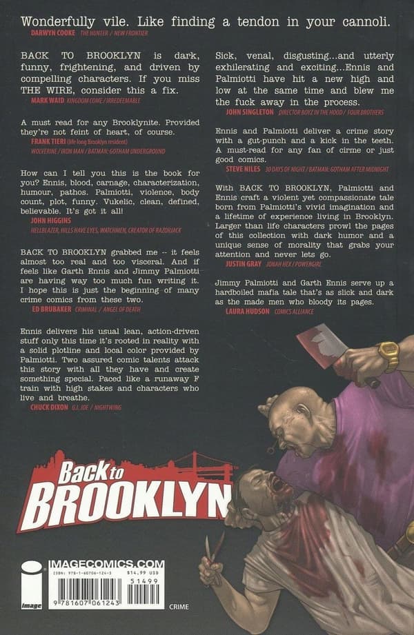 Back to Brooklyn Volume 1 by Ennis, Garth and Palmiotti
