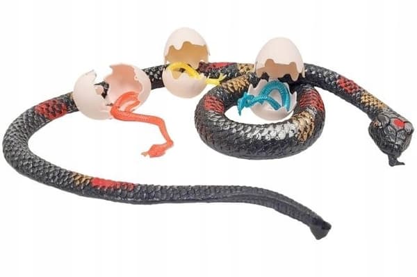 66cm rubber hose with eggs