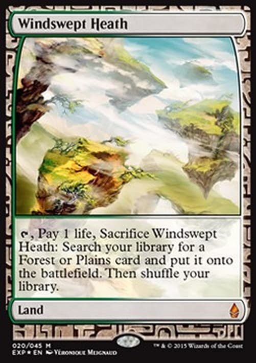Magic: The Gathering Windswept Heath