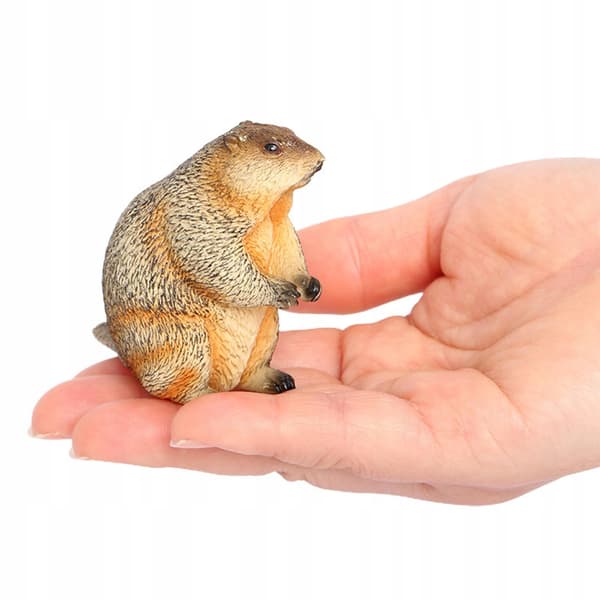 4x Marmots – Model Figures, Decorative Marmots, Desk Decorations