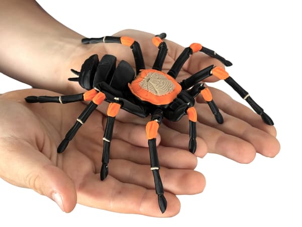 Tarantula 3D – a realistic, articulated spider, a unique figurine
