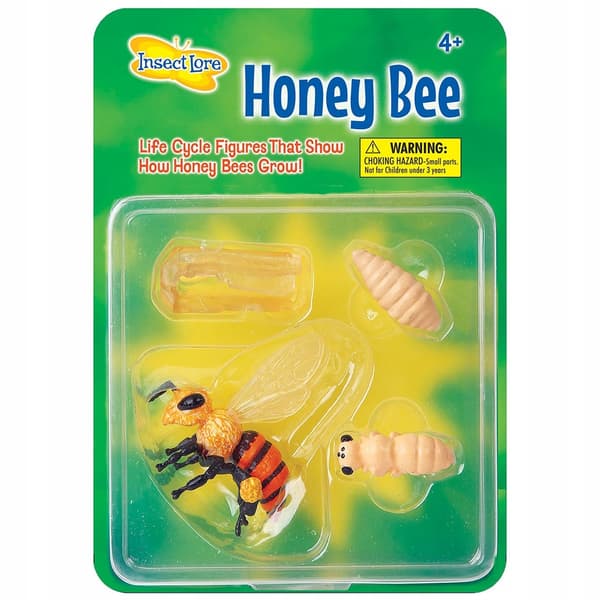 INSECT LORE educational bee life cycle figurine set for children