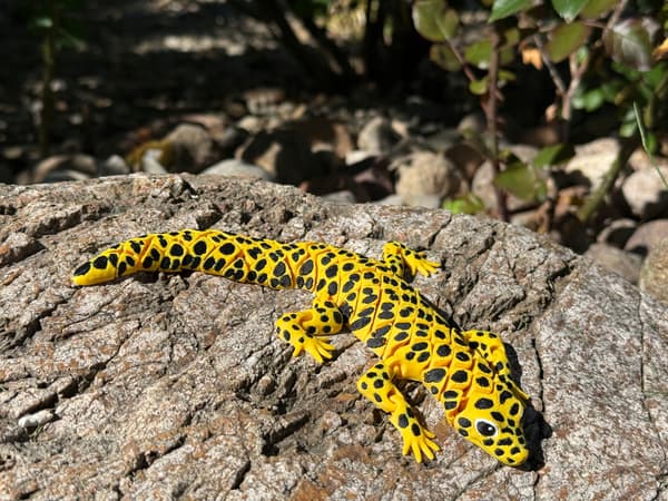 3D Leopard Gecko – a realistic segmented figurine, terrarium decoration