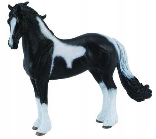 BAROQUE PINTO STALLION, COLLECTA