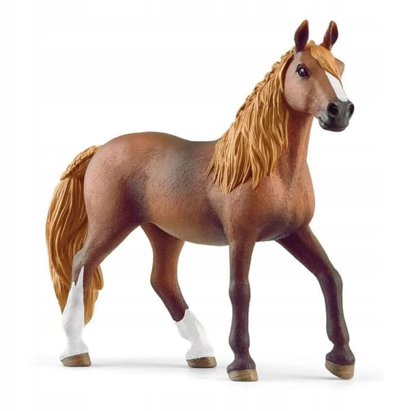 PASO PERUANO MARE SLH13953