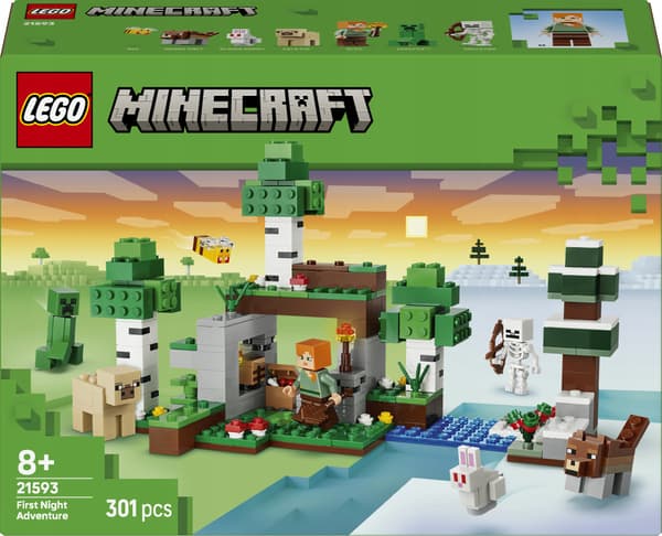 LEGO Minecraft: Surviving the First Night 21593