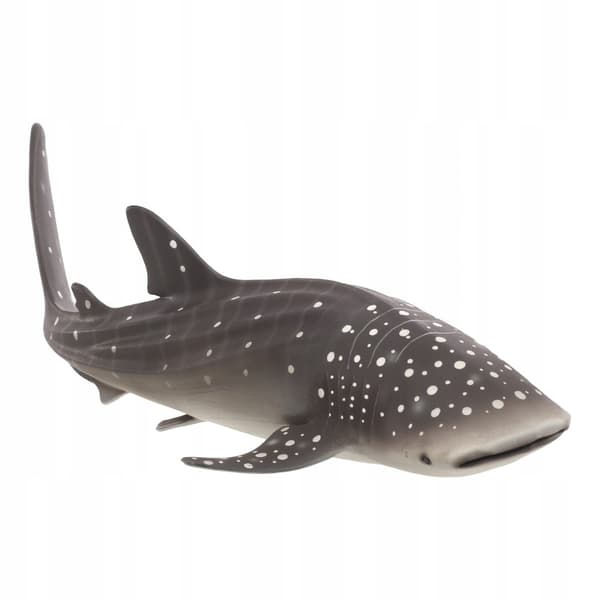 Mojo Whale Shark