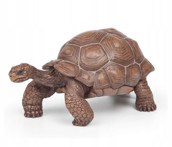GALAPAGOS TURTLE [FIGURINE]