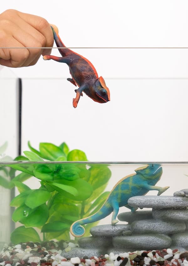 SCHLEICH 14858 CAMELEOON
