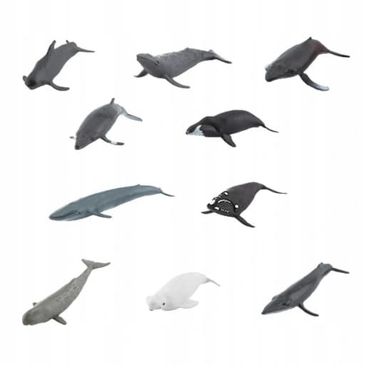 10 Realistic Animal Models: Arctic Animals