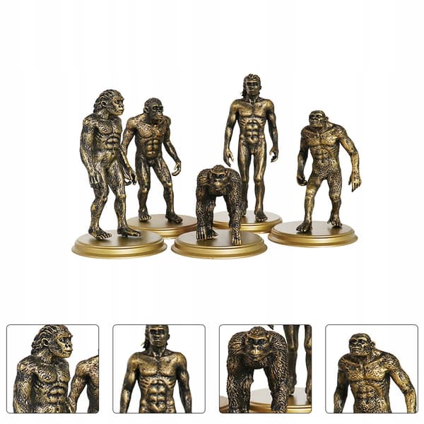 5-PIECE CREATIVE TOY: HUMAN MODEL – EVOLUTION
